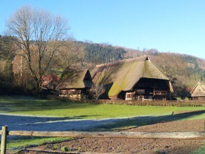 シリーズ～移住者向けブログ～