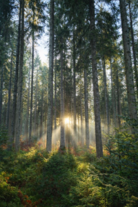 シリーズ～移住者向けブログ～